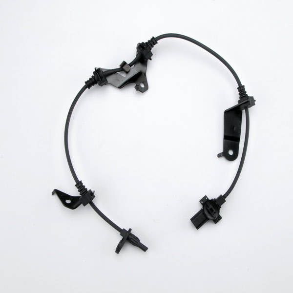 57455-TAO-013