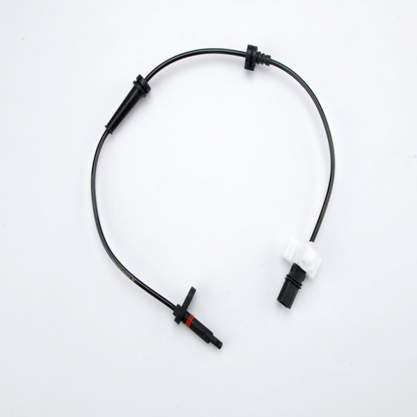 57475-TAO-013